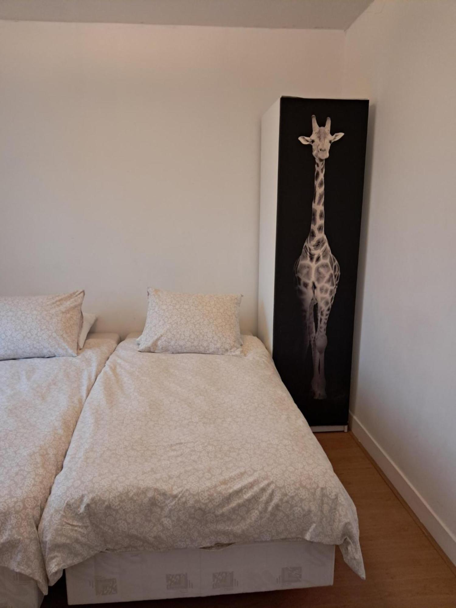 El Sol Zandvoort Habitación foto
